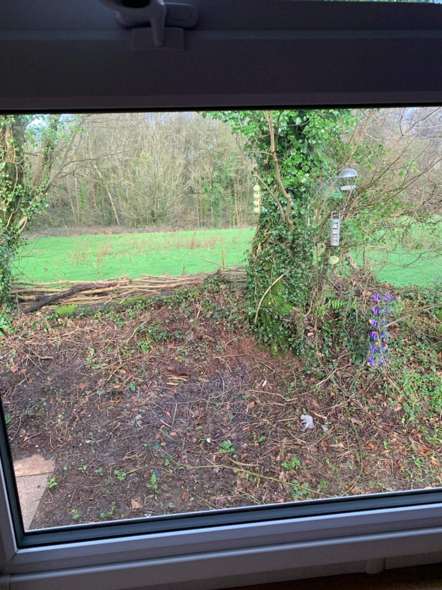 4 Devon Country, Bideford Bay Holiday Park Bucks Mills Buitenkant foto