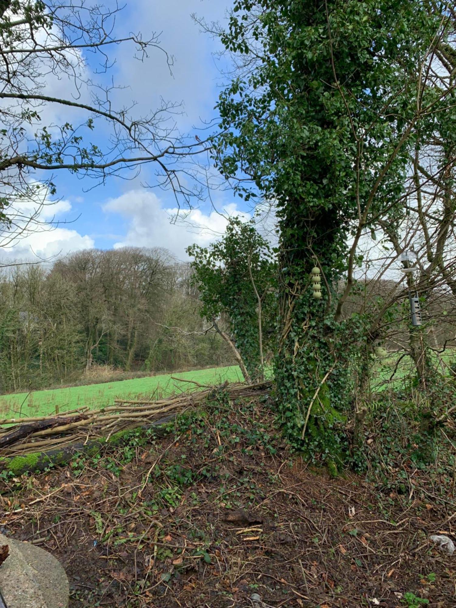 4 Devon Country, Bideford Bay Holiday Park Bucks Mills Buitenkant foto